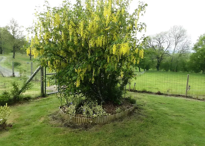 De Lonzanges * Lanobre